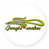 Jungle Snake - 4 toboganes de tubo de agua PIPEline